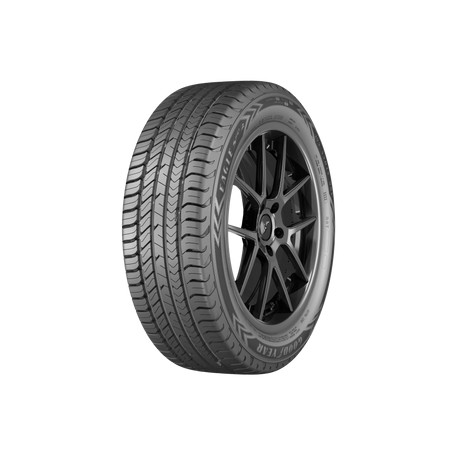 205/55R16 GOODYEAR EAGLE SPORT 2 91V